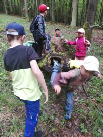 Waldtag mit Kindern